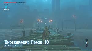 Kitchen wooden utensils for cooking, wood utensil natural teak wood spoons for cooking,kitchen utenails set with holder,wooden kitchen utensil set with spatula and ladle (11). Zelda Breath Of The Wild Trial Of The Sword How To Complete The Trial Of The Sword In Botw Usgamer