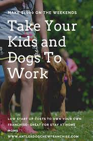 Start Your Own Pop Up Franchise Selling Antler Dog Chews At Outdoor Markets Solid Profit Margins No Hard Sale Training Your Dog Dog Chews Dog Training Advice