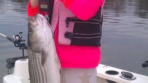 Stripped bass tournament the next day we showed up to the spot and we were fortunate enough to have no company. Outdoors Events Calendar For 03 26 15 Charlotte Observer