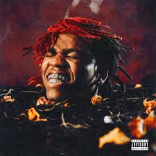 DC The Don 'Funeral' Album Artwork — sam balaban