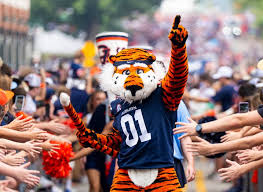 Alex Kviklys - Football 2014 - Auburn Tigers - Official Athletics ...
