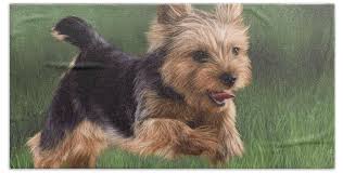 Animal Hand Towels for Sale by Rachel Stribbling