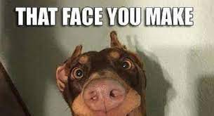 There are many funny truck stickers online that will make you laugh your head off. Trucking Memes And Jokes That Will Make You Laugh Your Head Off