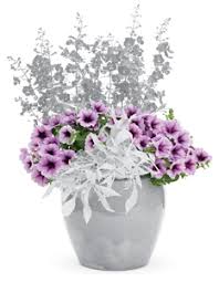 Spilled flower pots are a whimsical and humorous trend in garden design. Container Gardening Using The Thriller Filler Spiller Planting Technique