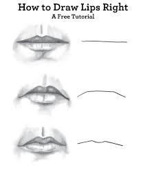 Pin On Drawing Nose