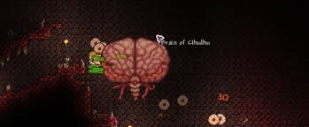The brain of cthulhu mask is a vanity item obtained by killing brain of cthulhu. Terraria Brain Of Cthulhu Boss Guide