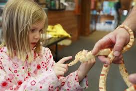 Photos: Hartman Reserve Earth Fair