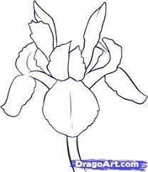Image Result For How To Draw Monet S Blue Iris Flower Flower Drawing Iris Painting Iris Flowers