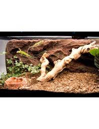 Image result for Terrarium Cling Background