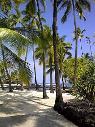 Puʻuhonua o honaunau is open 7 a.m. Royalty Free City Of Refuge Photos Free Download Pxfuel