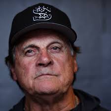 New barbs fly in Tony La Russa/Animal Rescue Foundation dispute