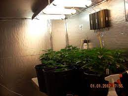 Hps lights contain chemicals such as sodium vapour and mercury inside them which are harmful as well as hard to dispose. Magnetic Induction Grow Lights Plasma Grow Lights Do They Work Grow Weed Easy