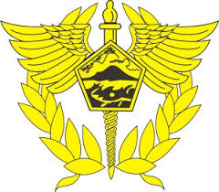 directorate general of customs and excise indonesia