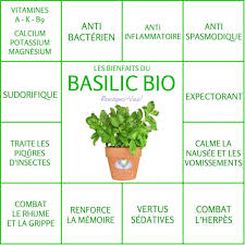 Le Basilic Le Monde S Eveille Remedes Naturels Nutrition Sportive Sante Nutrition