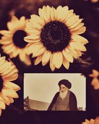 pin by ت ـسنـيم ʚĭɞ on سادتي وقادتي pictures polaroid film iran