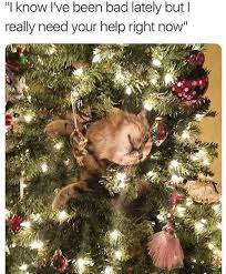 Halp I Can Has Cheezburger