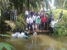 Box sebagai wadah rangkaian setrum tersebut. Disnakan Sebar 10 Ribu Ikan Emas Riaumandiri Co