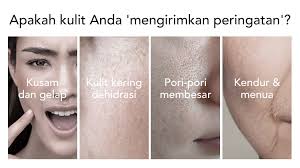 Ellen Ella -Toner Esensi Niacinamide Bercahaya 100ml