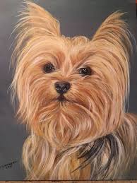 See more ideas about pet portraits, animal art, anthropomorphic. Pet Portraits For Charity Home Facebook