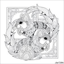 Two Squirrels Eating Acorns With Lovely Frames In Background Squirrel Coloring Page Animal Coloring Pages Coloring Books