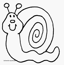 Schnecke Ausmalbild Ausmalbilder Gratis Ausmalbilder Ausmalen