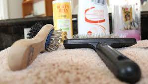 The best brushes for a morkie brushes like the furminator and the slicker brush, on left, are great for double coated dogs with fur, but not for morkies. Best Brush For A Yorkie Our Top Picks All Things Yorkies