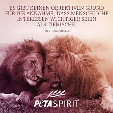 이들의 활동은 미국 전역을 대상으로 이루어지며, 동물들이 도움을 얻지. Peta Spirit Alle Zitate Mit Bilder Von Peta Spirit Auf Einem Blick Spruche Tiere Zitate Tiere Ausgestopftes Tier