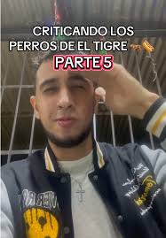 Criticando los perros de la ciudad de El Tigre 🐅🌭 Parte 5 #vlog #perros  #eltigre #venezuela #viral