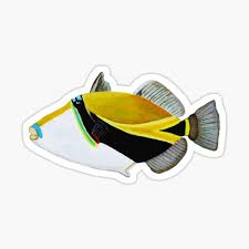 Possibility, although he makes trips to the sea often. View 14 Reef Triggerfish Huma Huma Nuka Nuka Apua A Okuseriho