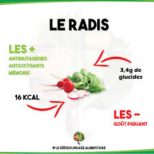 Le Radis Bienfaits Et Mefaits En 2020 Perdre Du Poids Aliment Anti Cancer Radis