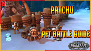 Patchu Pet Battle Guide - Dragonflight - YouTube