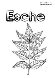 Ausmalbild apfelbaum blatt halb geschnittener apfel und ganzer. Herbst Ausmalbilder Herbstmotiv Herbstlaub Tiere Babyduda Malbuch