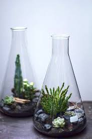 Srfforever Little Plants Terrarium Succulent Terrarium