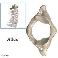 Maybe you would like to learn more about one of these? Patient Education Concord Orthopaedics