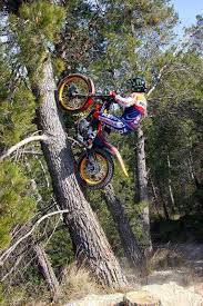 Tree Climber In 2021 Motorcross Bike Motocross Bikes Enduro Motorcycle