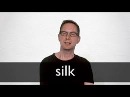 Éste es de seda, ése es de algodón. Hindi Translation Of Silk Collins English Hindi Dictionary