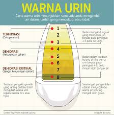 Namun, merahnya warna air kencing juga bisa berasal dari makanan dan zat tertentu yang tertelan, sehingga tubuh anda bereaksi membuangnya melalui urin. Sinaronline En Twitter Periksa Warna Urin Carta Warna Urin Menunjukkan Sama Ada Anda Mengambil Air Dalam Jumlah Yang Cukupi Atau Tidak Dapatkan Berita Menarik Di Https T Co F9ep4ualde Sinarharian Infografik Urin Warnaurin Kesihatan Air