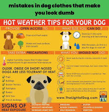 Dog Apparel Figure Out How To Go For Only What You Really Need In 2020 Dog Clothes Cute Dog Clothes Puppy Clothes