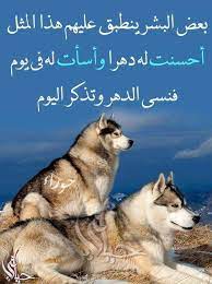 pin by فلسطينية ولي الفخر on روائع الحكم ex quotes qoutes animals