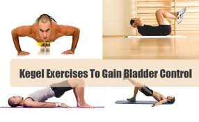Kegel Exercises To Gain Bladder Control How To Do Kegel Exercise For Men Kegel Exercise Kegel Exercise For Men Exercise