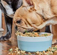 Timid dogs often have a hard time when babies start to become more active, more vocal and mobile. Feeding Your Dog How Often Should Dogs Eat And How Much