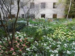 Pin By Kathalene Barton On Downing Designs Landscape Architecture Garden Inspiration Landscape