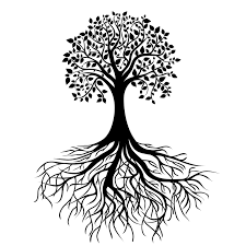 Family Tree Silhouette Roots Tatuagem De Raizes De Arvores Tatuagem Carvalho Tatuagem De Arvore Da Vida
