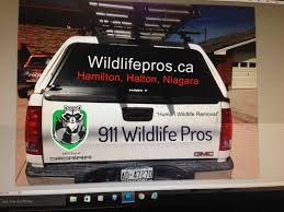 They can efficiently handle all kinds of pest extermination and removal services with ease. Avid Pest Control Avidpest Twitter