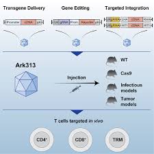 Image result for Blue 1998 AAV