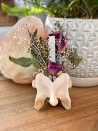 Meet Mandy Boyles: Oddities Artist