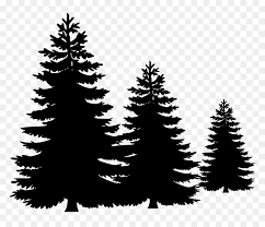 Collection of christmas tree silhouette png (48). Vector Pine Tree Png Transparent Png Vhv