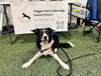 Core Pawtential | Mudi Club ISC trial