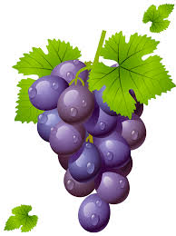 Grape With Leaves Png Clipart Picture Gallery Yopriceville High Quality Images And Transparent Png Free Clipa Fruit Wallpaper Fruit Art Fruit Illustration