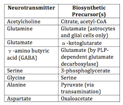 File Neurotransmitter Chart Png Wikimedia Commons
